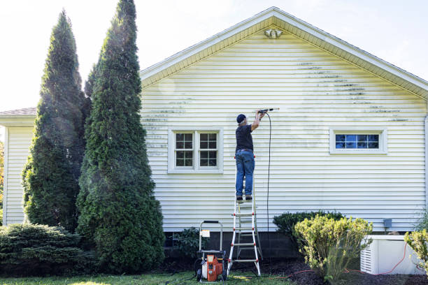 Best Soft Washing for Delicate Surfaces in Deer Park, NY